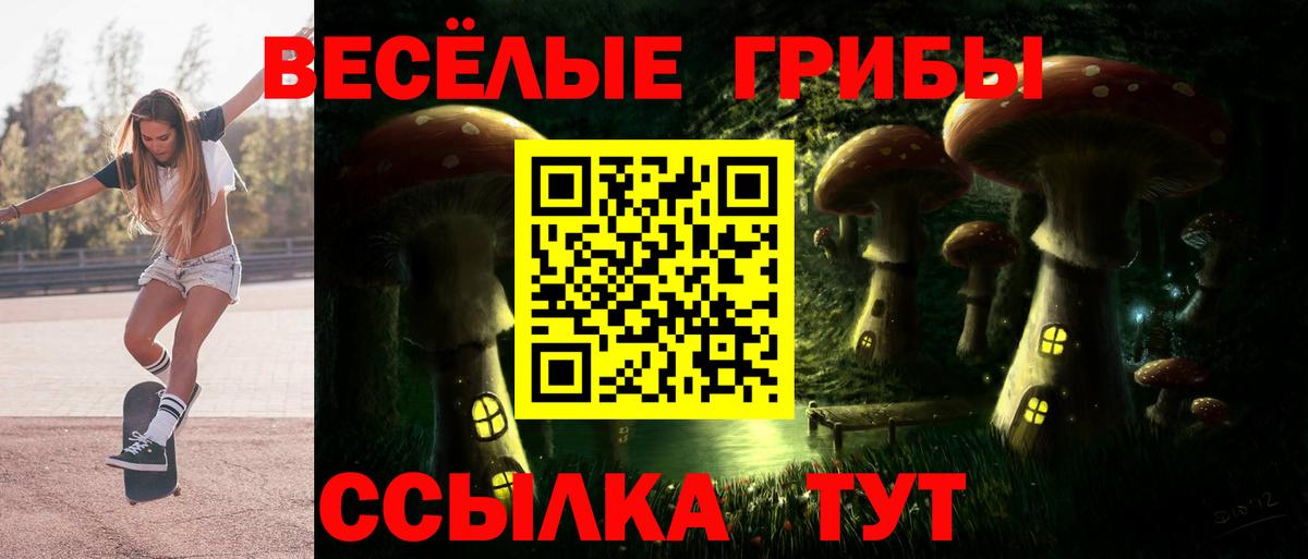 Галлюциногенные грибы Psilocybine cubensis Мурманск