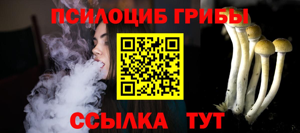 Псилоцибиновые грибы Cubensis  как найти   Мурманск  Вход с VPN 